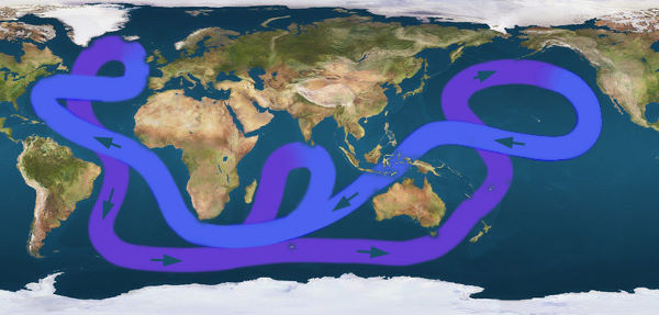 La circulation thermohaline autour du globe