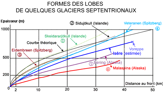 Forme des lobes de quelques glaciers septentionaux