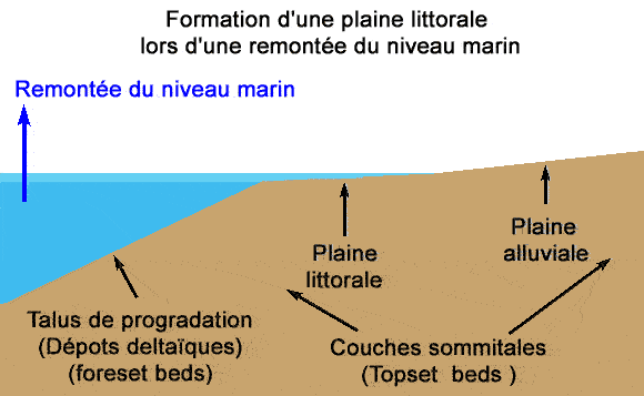 Plaine littorale