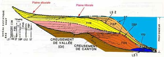 Sédimentation séquentielle