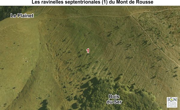 Les ravinelles septentrionales du Mont de Rousse en Isère