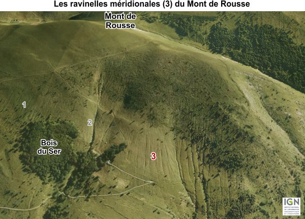 Les ravinelles méridionnales du Mont de Rousse en Isère