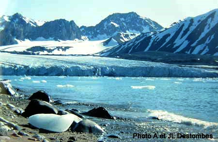 Glacier vêlant au Spitzberg