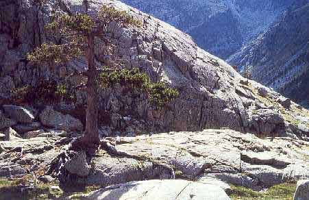 Roches moutonnées dans les Pyrénées espagnoles