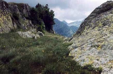 Sillon rocheux près du Pas de la Coche en Isère