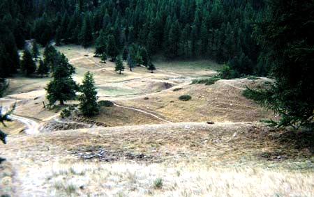 Sillons vallonnés au col des Près de Fromage (Hautes-Alpes)