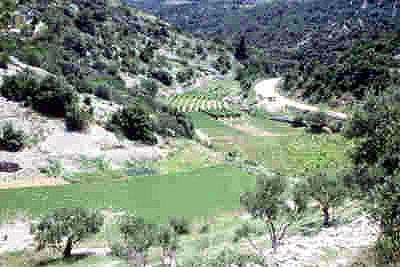 Vallée morte dans l'île de Brac