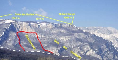 Le Bois des Vouillants sous la crête des Guillets (massif du Vercors)