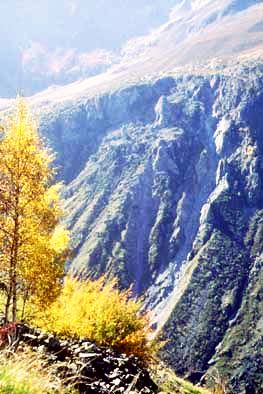 Tassement de versant dans la vallée du Vénéon (Isère)