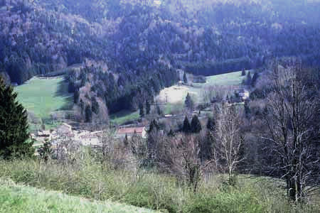 Le hameau du Coing Le hameau du Coing