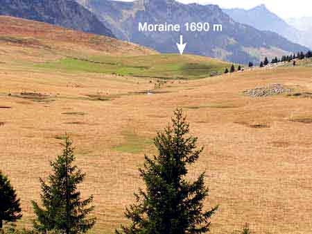 Champs de laquets au col de Cenise (massif des Bornes)