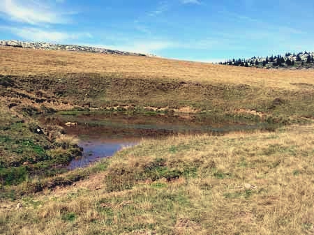 Laquet au col de Cenise (massif des Bornes)