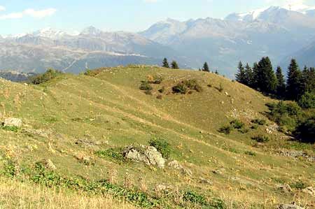 Sillons de pente au lieu-dit Plan de la Bataille en Savoie