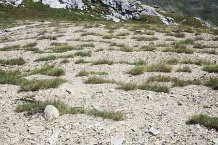 Terrassettes près du lac des Rochilles en Savoie