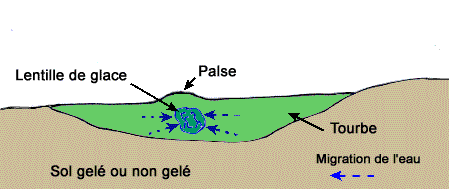 Croquis d'une palse