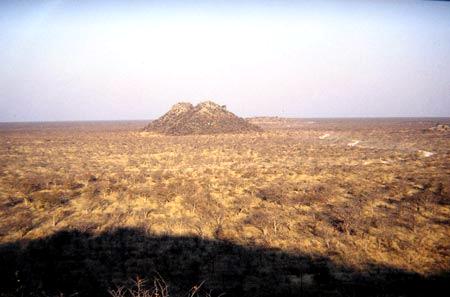 Pédiplaine en Namibie