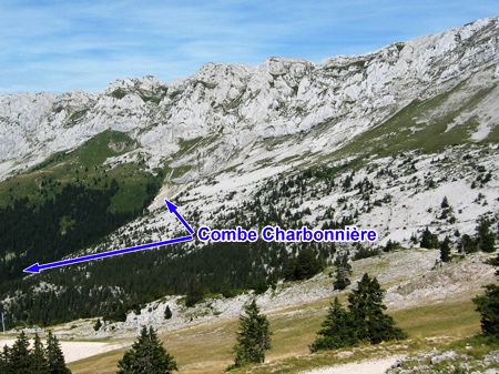 Combe Charbonnière dans le Vercors (Isère)