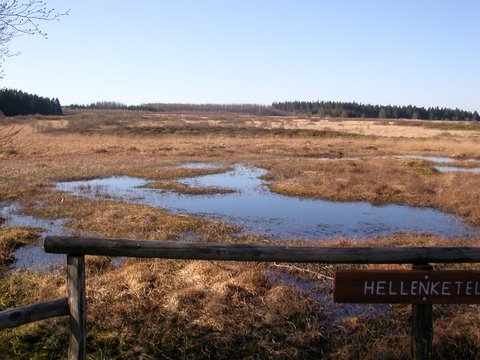 Une lithalse dans les Ardennes belges