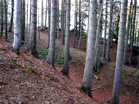 Deux ravines à travers la forêt