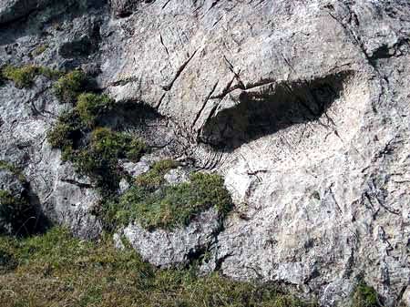 Formes creusées par les eaux torrentielles