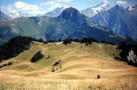 Sillons vallonnés des Sures (Auris-en-Oisans, Isère)