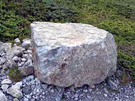 Bloc glaciaire au glacier de Bonnepierre  dans les Ecrins