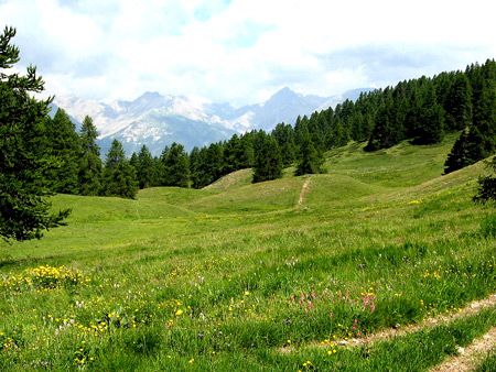 Sillons vallonnés à Sommet Bucher dans le Queyras