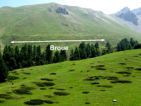 Broue sur la Crête de la Combe Arnaude