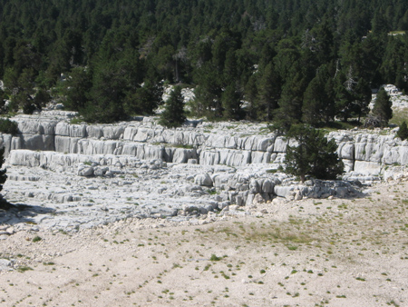 Karst à banquettes au-dessus de Corrençon (Vercors, Isère)