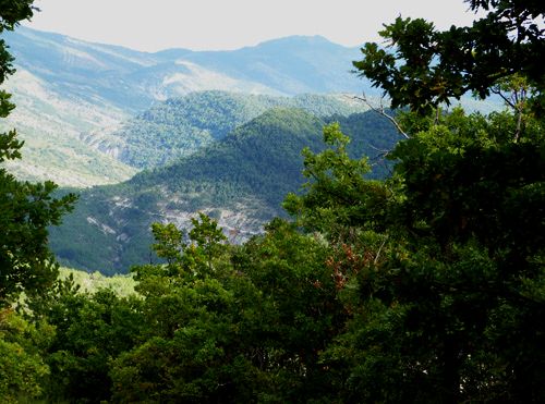 Epaulements sous la Montagne de la Clavelière (Drôme)