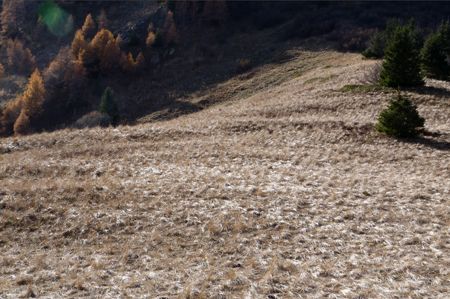 Sillons vallonnés au col de Corbière en Oisans, Isère