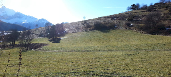 Un collet de la crête de la Sciau entre Bonne et Drac (Isère)