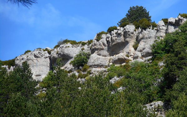 Traces d'écoulement d'eau dans la falaise de l'arête du Serre Chauvière