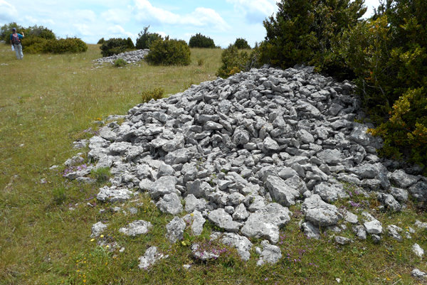 Un clapier de gélifraction sur le Serre Chauvière dans la Drôme