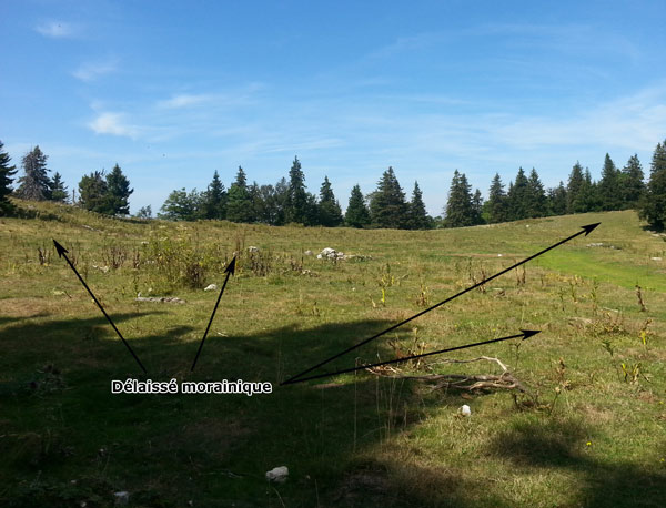 Délaissé morainique au Sommet de Plénouze, au-dessus d'Autrans (Isère)