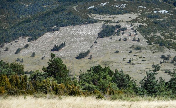 Délaissé morainique sur la face ouest de Côte Blanche (Vercors)