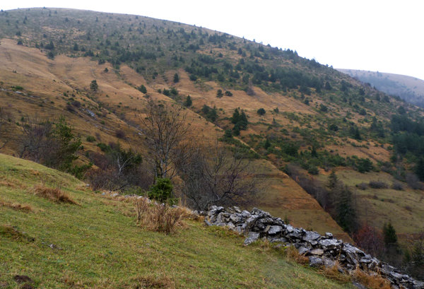 Les ravines du Champ du Rif sous le Mont de Rousse en Isère