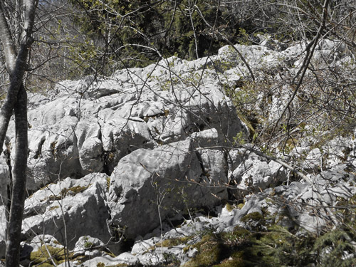 Blocs sous le Pas du Follet (Isère) avec des traces d'érosion karstique