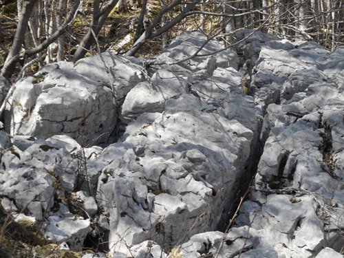 Rochers de Pot Jacquin (Isère) sans aucune traces d'érosion karstique