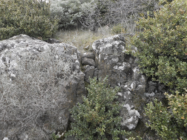 Bloc erratique en roche basaltique