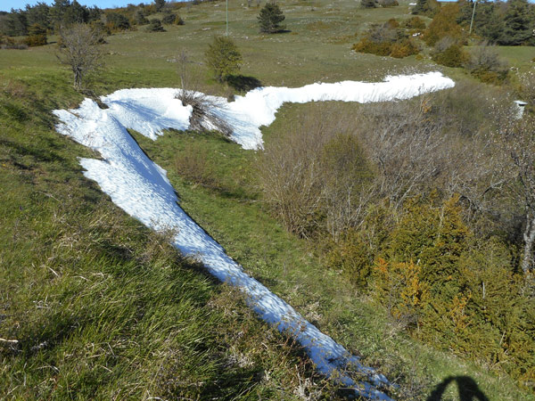 Une broue située aux Coutils, près du col Jérôme Cavalli dans le Vercors