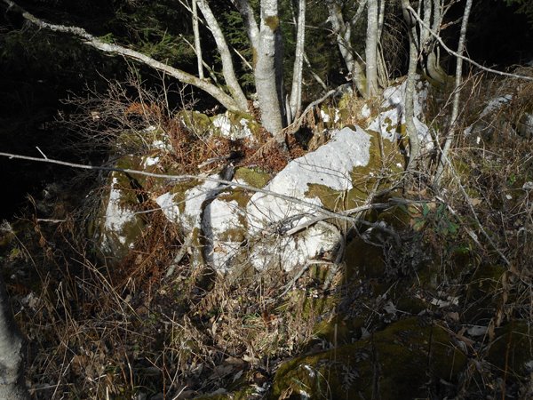 Un clapier d'origine glaciaire dans le haut du vallon de Nave (Vercors)