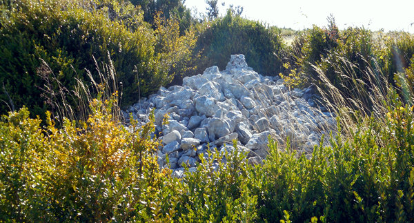 Clapier vers le sommet de Pinsaye (Vercors)