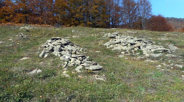 Deux clapiers situés sur la Forêt des Coulmes (Vercors, Isère)