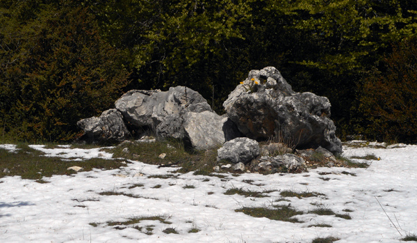 Un clapier près du Pas du Margeat dans la vallée de La Chaumèane (Vercors, Isère)