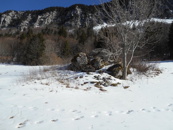 Un clapier d'origine glaciaire au col de Romeyère dans le Vercors