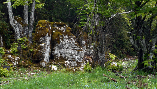 Un rocher sur le plateau de la Montagne du Grand Échaillon dans le Vercors