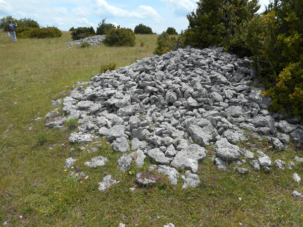 Clapiers sur le plateau sommital du Serre-Chauvière dans la Drôme