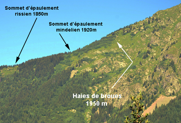 Haies de broues de la vallée de Vaujany en Oisans, Isère