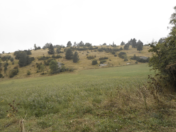 Colline située aux Sièzes (Lus la Croix Haute, Drôme)